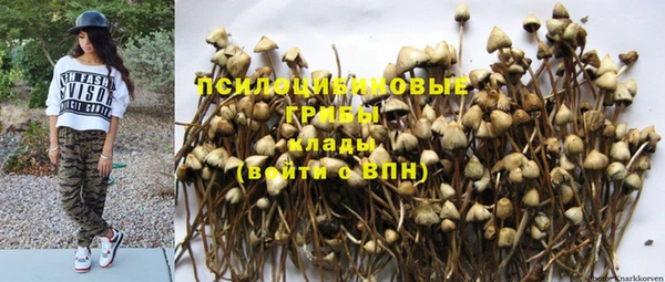 прущая мука Абинск