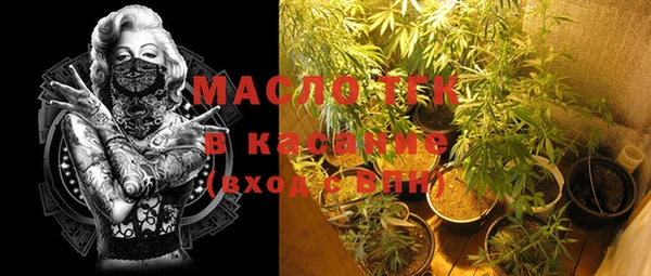 индика Абдулино