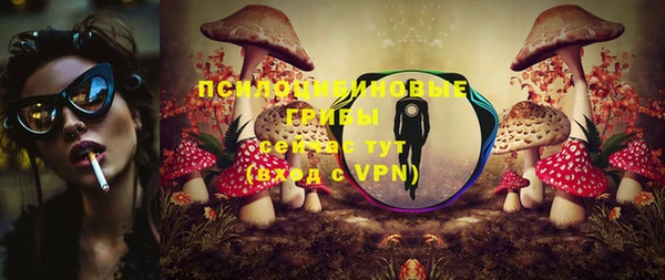 a pvp Снежинск