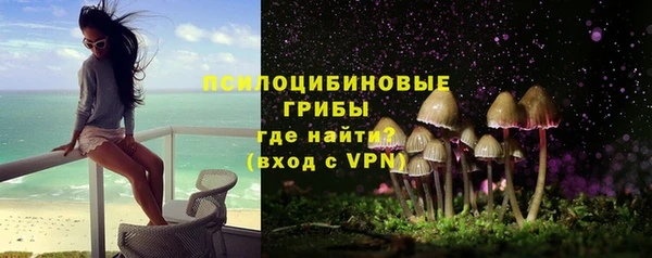 индика Абдулино